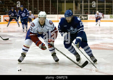 Le 30 septembre 2009 - Oshawa, Ontario, Canada - 30 septembre 2009 : Mathieu Carle du Bulldog (72) batailles avec Marlies Alex Foster (23) dans la deuxième période. Les Bulldogs de Hamilton ont joué les Marlies de Toronto et les battit 3-0 à la Centre de GM à Oshawa (Ontario) (Crédit Image : © Steve Southcreek Dormer/global/ZUMApress.com) Banque D'Images