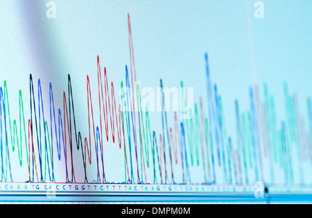 Chromatogramme ADN informatique Moniteur système dans le laboratoire de génétique Banque D'Images