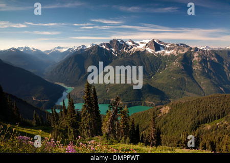 L'épilobe à fleurs le long du sentier de montagne au levain avec vue sur lac et Diablo en Crête Colonial North Cascades National Park. Banque D'Images