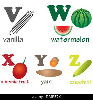 Lettres Alphabet V-Z avec des fruits. Illustration de Vecteur