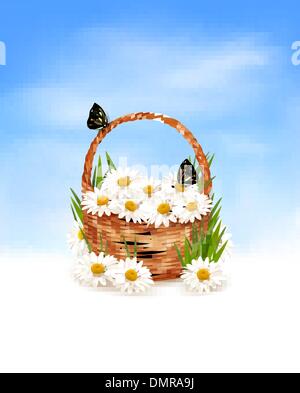 Fond Natire avec fleurs d'été dans le panier et butterfly o Illustration de Vecteur