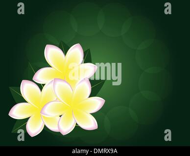 Magnolia Illustration de Vecteur