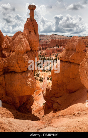 Le marteau de Thor, Bryce Canyon National Park, Utah, USA à Bryce Canyon National Park, Utah, USA Banque D'Images