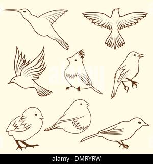 Ensemble de croquis differnet bird Illustration de Vecteur