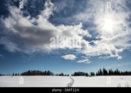 Après-midi ensoleillé dans les régions rurales de l'Alaska avec un chemin à travers la neige. Banque D'Images