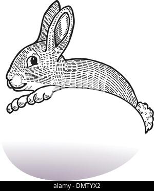 Lapin de Pâques avec des oeufs Illustration de Vecteur