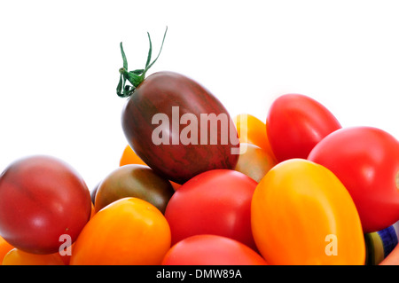 Des bébés tomates italiennes de différentes couleurs sur un fond blanc Banque D'Images