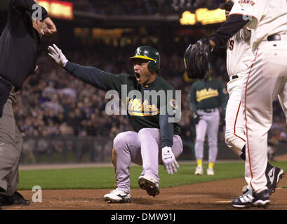 Mar 28, 2002 ; San Francisco, CA, USA ; Oakland A's Randy Velarde, # 8, réagit après avoir été appelés par le juge-arbitre homeplate après avoir été étiqueté par San Francisco Giants' Ken Macha, # 39, dans la 3e manche de leur match le vendredi 29 mars 2002 à Pacific Bell Park à San Francisco, Californie Macha a obtenu le deux pas de catcher Angel Pena, # 55, qui renvoie la balle à partir de la première ba Banque D'Images