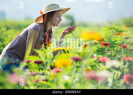 L'été sur une ferme biologique. Une jeune femme dans un champ de fleurs. Banque D'Images