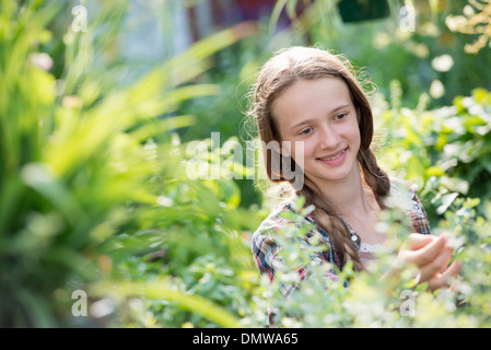 L'été sur une ferme biologique. Une jeune fille dans une pépinière pleine de fleurs. Banque D'Images