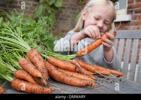 Un enfant l'inspection des carottes fraîchement cueillies avec de la boue sur m. Banque D'Images