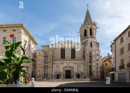 Cathédrale Saint-Siffrein, Place Charles de Gaulle à Carpentras, France, Europe. Banque D'Images