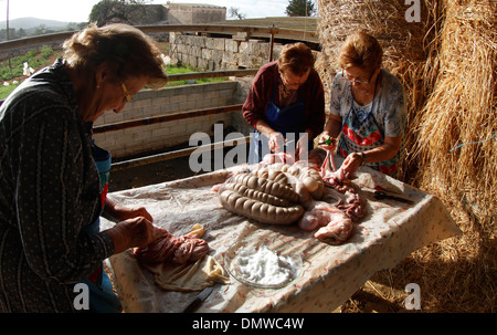 Au cours d'un processus différent de l'Abattage des porcins locaux traditionnels dans l'île de Majorque, Espagne Banque D'Images