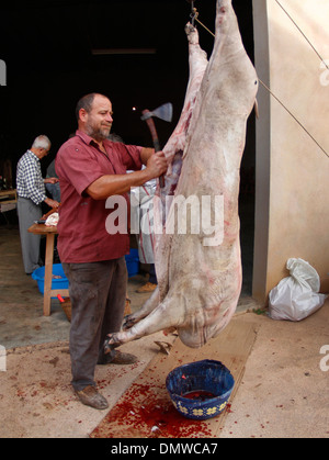 Au cours d'un processus différent de l'Abattage des porcins locaux traditionnels dans l'île de Majorque, Espagne Banque D'Images