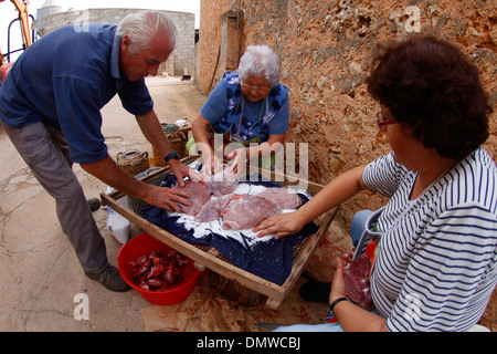 Au cours d'un processus différent de l'Abattage des porcins locaux traditionnels dans l'île de Majorque, Espagne Banque D'Images