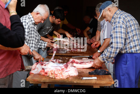 Au cours d'un processus différent de l'Abattage des porcins locaux traditionnels dans l'île de Majorque, Espagne Banque D'Images