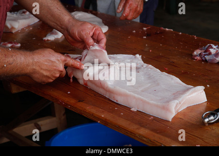 Au cours d'un processus différent de l'Abattage des porcins locaux traditionnels dans l'île de Majorque, Espagne Banque D'Images