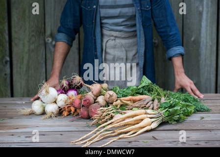 Un homme le tri des légumes fraîchement cueillis sur une table. Banque D'Images