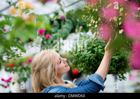 Une pépinière de fleurs biologiques. Une femme qui travaille. Banque D'Images