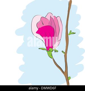 Magnolia fleur fleur rose Illustration de Vecteur