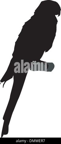Silhouette de Parrot Illustration de Vecteur