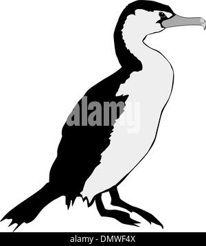 Cormoran Illustration de Vecteur