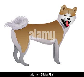 Akita Inu chiens japonais Illustration de Vecteur