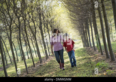 Une femme et un enfant marchant dans une allée d'arbres. Banque D'Images