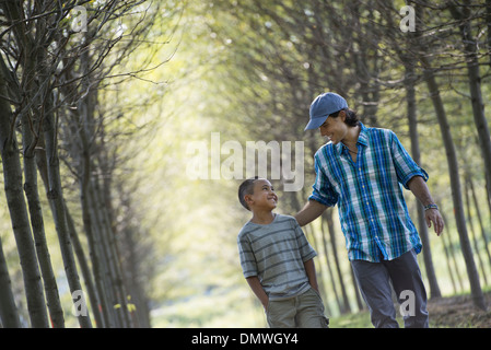 Un homme et un jeune garçon marchant dans une allée d'arbres. Banque D'Images