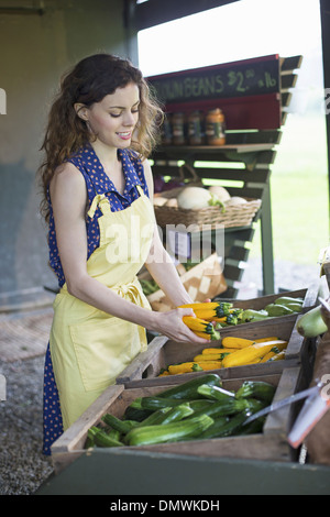 Une ferme de fruits et légumes biologiques. Une jeune femme le tri des légumes. Banque D'Images