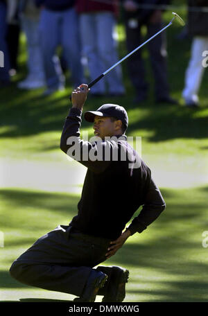 Jan 31, 2002 ; Pebble Beach, CA, USA ; Tiger Woods réagit à tout manque un long putt birdie au 17e trou à Poppy Hills pendant le 1er tour de l'A.T.-T. Pro-Am national, à Pebble Beach, Californie le Jeudi, Janvier 31, 2002. Banque D'Images