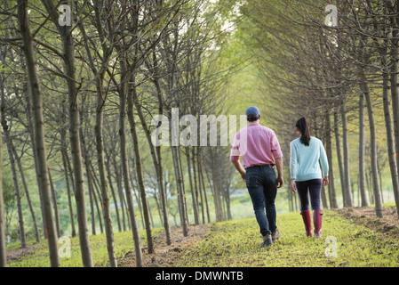 Un couple en train de marcher entre deux rangées d'arbres. Banque D'Images