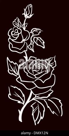 Trois roses blanc isolé sur fond noir, vector illustr Illustration de Vecteur