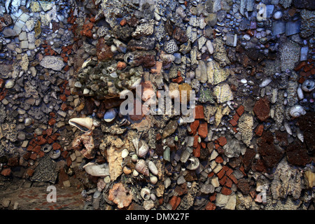 Grotte Goldney dans les motifs de Goldney Hall, Clifton Banque D'Images