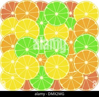 Fruits d'une orange, un citron, pamplemousse et citron vert Illustration de Vecteur