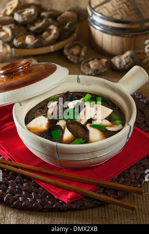 Pot en argile de poulet avec les champignons. Chinese food Banque D'Images