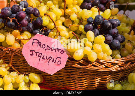 Le raisin produit italien en vente à la Piazza della Repubblica. Banque D'Images