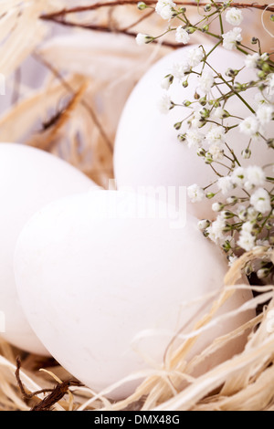 Trois oeufs de Pâques non décoré blanc ordinaire nichée dans un nid de paille avec une délicate de pulvérisation dainty fleurs souffle Babys pour célébrer le printemps et les vacances de Pâques Banque D'Images