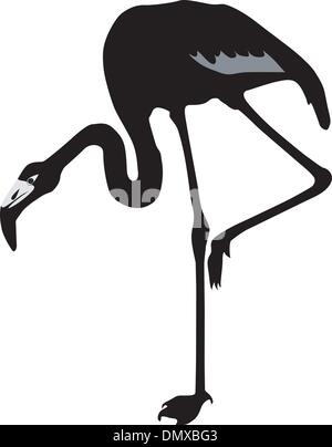 Silhouette vecteur d'un flamant rose Illustration de Vecteur