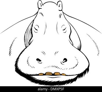 Visage d'hippopotame Illustration de Vecteur