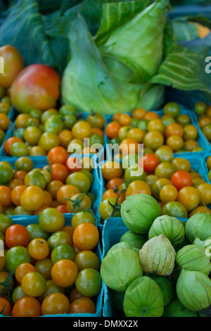 Marché fermier de Durham le samedi matin. Ils vendent tous les aliments biologiques. Des fermes locales venez vendre directement aux personnes. Banque D'Images