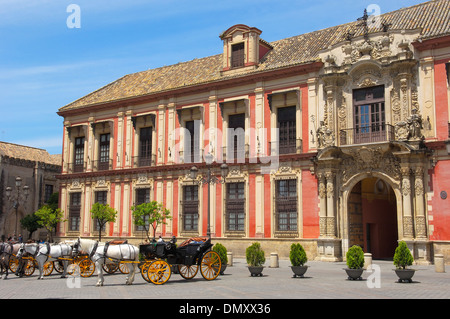 Palais de l'archevêque sur la Plaza del Triunfo, Sevilla (Séville). Andalousie, Espagne Banque D'Images