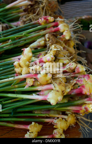 Marché fermier de Durham le samedi matin. Ils vendent tous les aliments biologiques. Des fermes locales venez vendre directement aux personnes. Banque D'Images