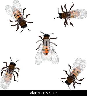 Travail des abeilles Illustration de Vecteur