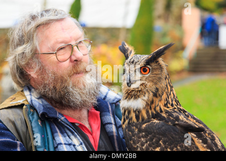 Falconer contre les guerriers tenant une tame Grand Owl (Bubo bubo) utilisé pour le contrôle des parasites sur l'écran. Le Nord du Pays de Galles, Royaume-Uni Banque D'Images
