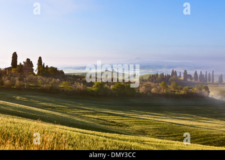 Le brouillard du matin vue sur ferme à Vallée d'Orcia en Toscane, Italie. Banque D'Images