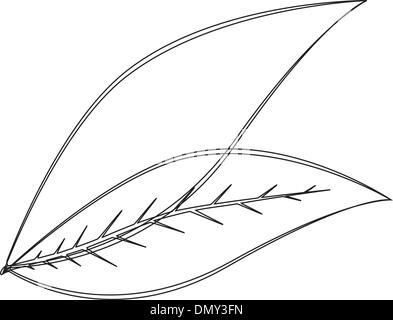 Feuilles de vecteur Illustration de Vecteur