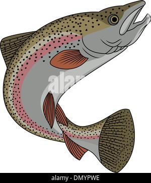 Poisson truite Illustration de Vecteur