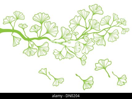 Direction générale avec des feuilles de ginkgo, vector Illustration de Vecteur