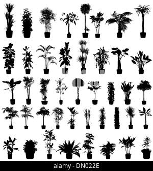 Les grandes plantes silhouettes set Illustration de Vecteur